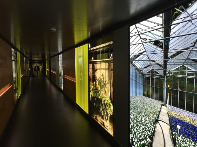 Jyll Bradley, Le Jardin Hospitalier